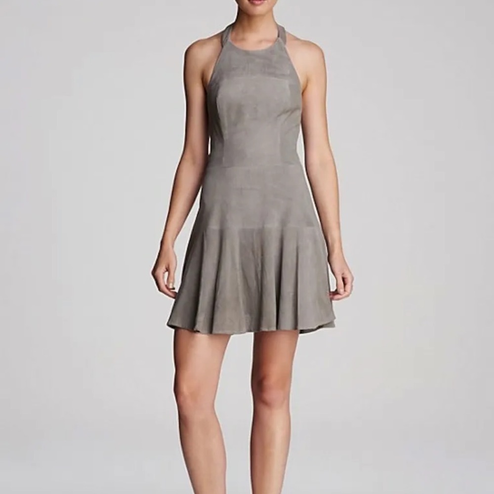 Parker Leona suede dress